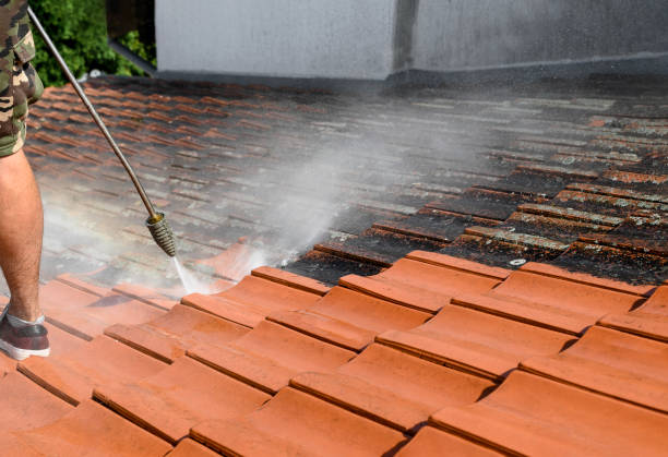 Best Residential Pressure Washing Services  in Biscoe, NC