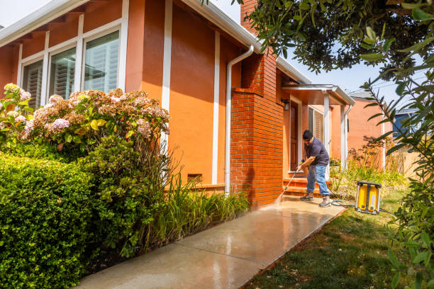 Best Best Pressure Washing Companies  in Biscoe, NC