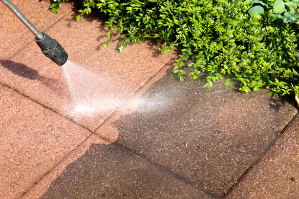 Best Affordable Power Washing  in Biscoe, NC