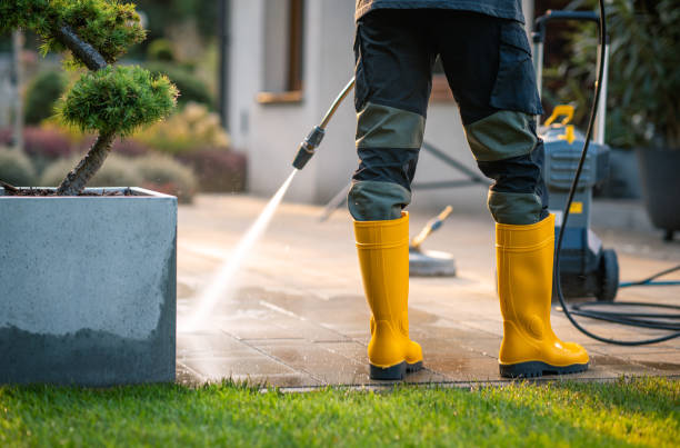 Best Best Pressure Washing Companies  in Biscoe, NC